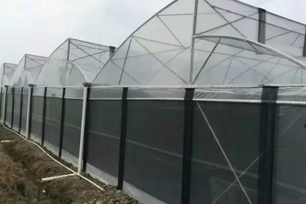 冬季大棚温度低的原因,冬季大棚为什么会出现温度低的情况插图4