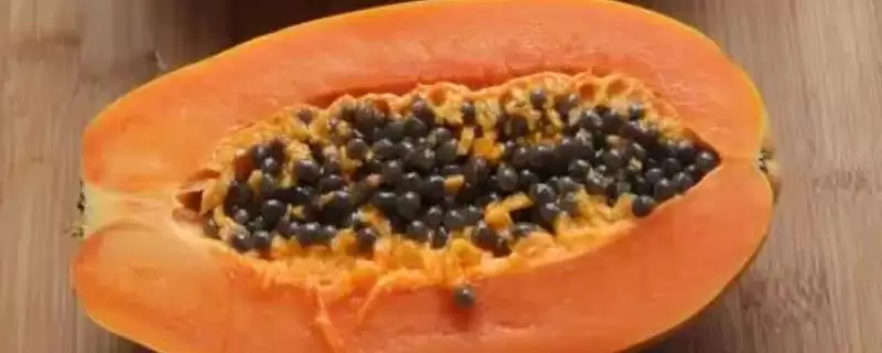 常见的木瓜品种有哪些和特点呢,常见的木瓜品种-会东网