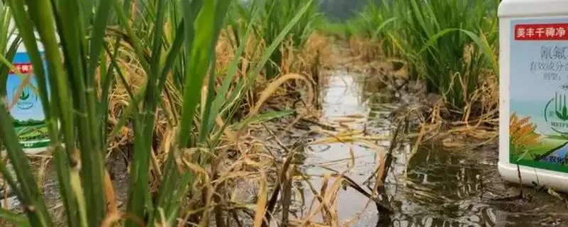 大豆田除草剂的残留时间是多久,大豆田除草剂的残留时间插图 大豆田除草剂的残留时间是多久,大豆田除草剂的残留时间插图