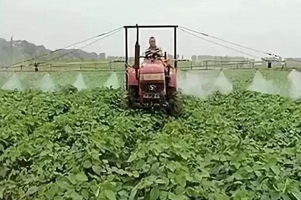 大豆封闭药有哪些常用的配方呢,大豆封闭药的配方插图2