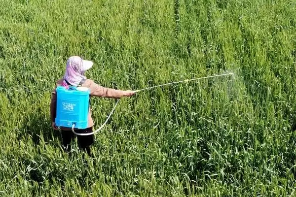 草铵膦对土壤有没有危害呢,草铵膦对土壤有危害吗插图1