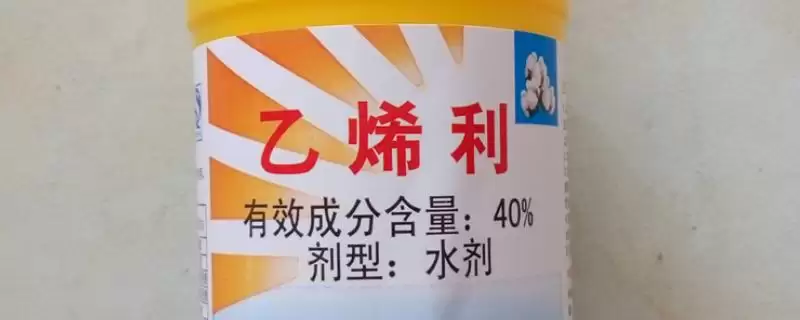 催熟剂具有怎样的作用和效果,催熟剂的作用插图 催熟剂具有怎样的作用和效果,催熟剂的作用插图