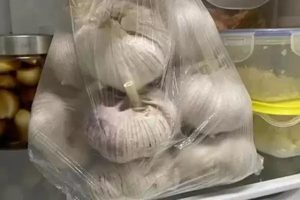 大蒜能否放在冰箱存放,大蒜能放冰箱吗插图1