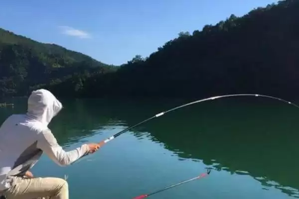 钓黑鱼的方法种类方式,钓黑鱼的方法有哪些常见的类型插图2 钓黑鱼的方法种类方式,钓黑鱼的方法有哪些常见的类型插图2
