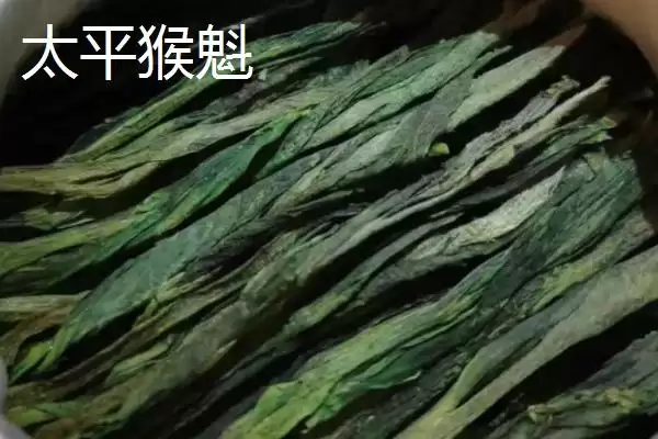 茶树育种如何鉴定品质和方法呢,茶树育种如何鉴定品质插图9 茶树育种如何鉴定品质和方法呢,茶树育种如何鉴定品质插图9
