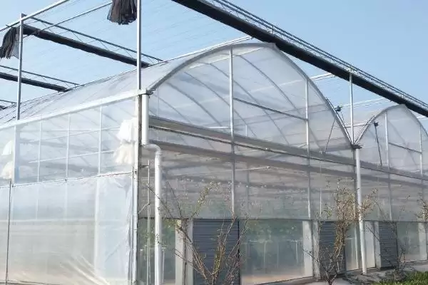 温室棚膜滴水是质量差导致的吗?插图3 温室棚膜滴水是质量差导致的吗?插图3