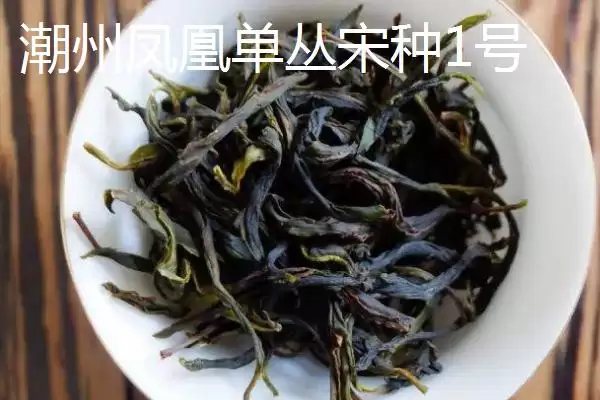 茶树育种如何鉴定品质和方法呢,茶树育种如何鉴定品质插图7 茶树育种如何鉴定品质和方法呢,茶树育种如何鉴定品质插图7