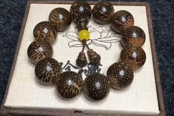 被盘过的蛇鳞木是什么样子的呢,被盘过的蛇鳞木是什么样子插图2 被盘过的蛇鳞木是什么样子的呢,被盘过的蛇鳞木是什么样子插图2