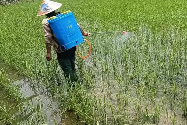 除草剂有哪些不同的分类方式呢,除草剂的分类插图2 除草剂有哪些不同的分类方式呢,除草剂的分类插图2