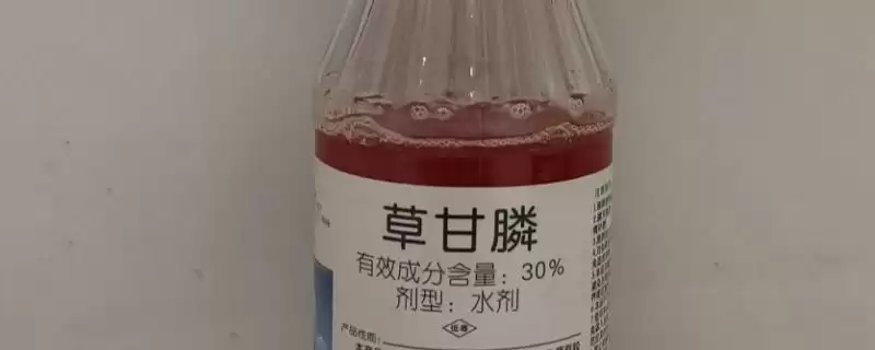 草甘膦除草剂喷施后多久见效呢,草甘膦除草剂喷施多久见效插图 草甘膦除草剂喷施后多久见效呢,草甘膦除草剂喷施多久见效插图
