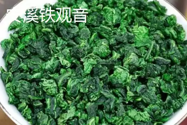 茶树育种如何鉴定品质和方法呢,茶树育种如何鉴定品质插图4 茶树育种如何鉴定品质和方法呢,茶树育种如何鉴定品质插图4