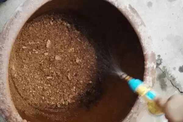 如何判断饼肥完成发酵的方法有哪些?插图6 如何判断饼肥完成发酵的方法有哪些?插图6