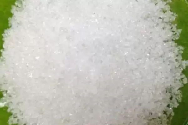 种植密大氮肥多等致棉花黄萎病发病原因解析插图3 种植密大氮肥多等致棉花黄萎病发病原因解析插图3