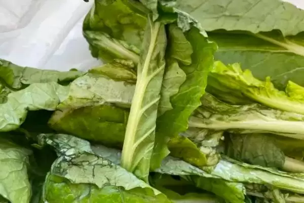 蔬菜食用菌类存放最佳温度多少？插图5