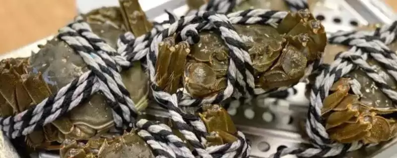 大闸蟹的市场价格范围,大闸蟹的价格在不同地区有何不同-会东网