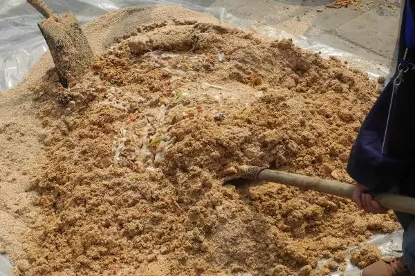 菜籽饼的正确施用方式是怎样呢,菜籽饼的正确施用方式插图3 菜籽饼的正确施用方式是怎样呢,菜籽饼的正确施用方式插图3