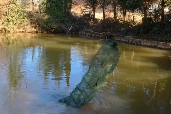 地笼放置的水深选择依据,地笼放深水还是浅水区域合适插图3 地笼放置的水深选择依据,地笼放深水还是浅水区域合适插图3