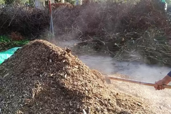 蚕屎如何发酵成有机肥呢,蚕屎如何发酵成有机肥插图2 蚕屎如何发酵成有机肥呢,蚕屎如何发酵成有机肥插图2