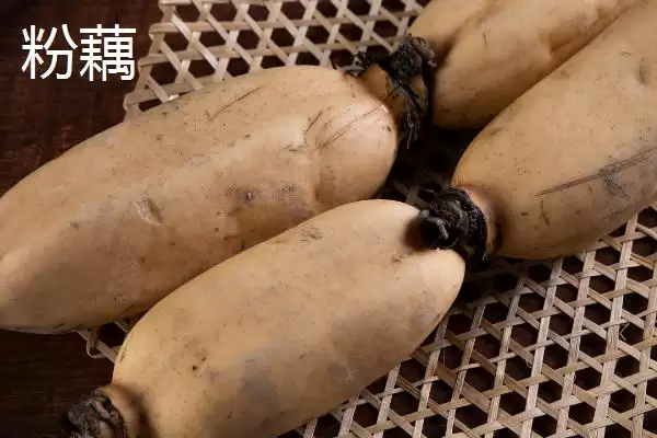 粉藕和脆藕区别,粉藕和脆藕有哪些方面的区别插图1 粉藕和脆藕区别,粉藕和脆藕有哪些方面的区别插图1