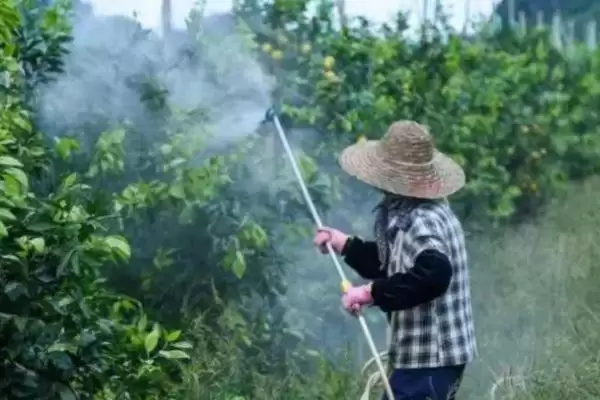 打错农药后有什么补救的方法呢,打错农药的补救方法插图1