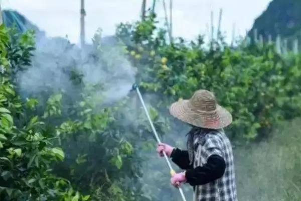 苯醚甲环唑能防治哪些对象呢,苯醚甲环唑的防治对象插图1 苯醚甲环唑能防治哪些对象呢,苯醚甲环唑的防治对象插图1