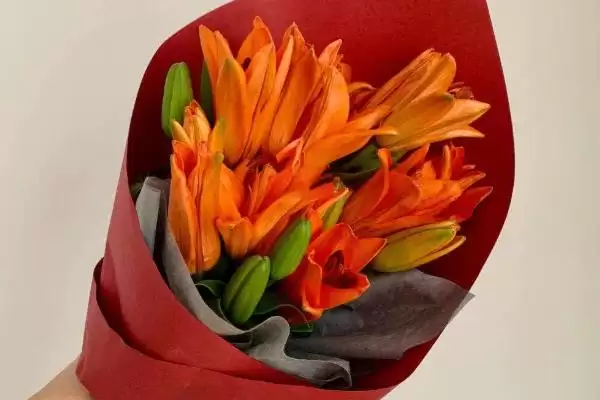 橙色百合花有什么寓意和象征呢,橙色百合花的寓意插图1 橙色百合花有什么寓意和象征呢,橙色百合花的寓意插图1
