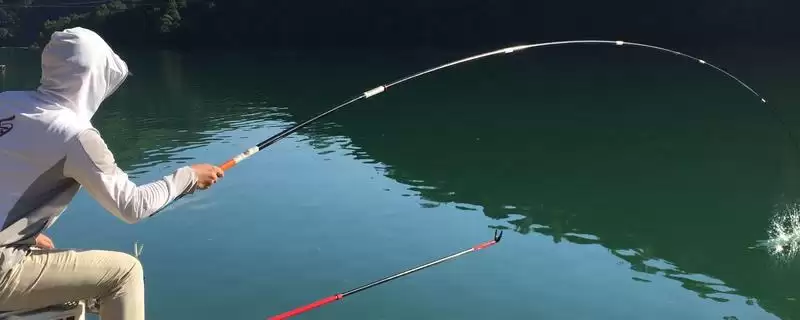 钓鱼的漂相技巧分析,钓鱼漂相有哪些值得关注的技巧插图 钓鱼的漂相技巧分析,钓鱼漂相有哪些值得关注的技巧插图