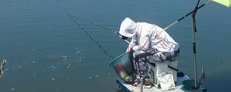 钓鱼抛竿抛得准的方法,钓鱼怎样抛竿才能抛得比较准确插图 钓鱼抛竿抛得准的方法,钓鱼怎样抛竿才能抛得比较准确插图