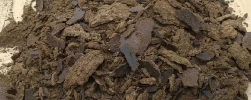 菜籽饼的正确施用方式是怎样呢,菜籽饼的正确施用方式插图 菜籽饼的正确施用方式是怎样呢,菜籽饼的正确施用方式插图