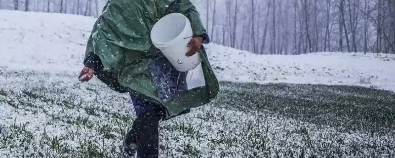 南北地区小寒在农活上有何差异?-会东网
