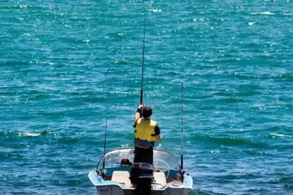 海竿可以浮钓鲢鳙鱼吗,海竿浮钓鲢鱼相对来说比较容易吗插图1