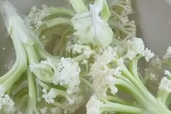 花菜清洗方法牙刷刷后盐水泡好吗,花菜怎样清洗,牙刷流水刷再泡盐水?插图1 花菜清洗方法牙刷刷后盐水泡好吗,花菜怎样清洗,牙刷流水刷再泡盐水?插图1