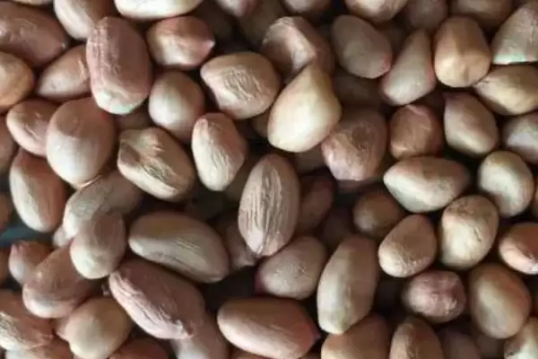 花生仁保存法冷藏阴凉哪种好呢,花生仁的保存方法，两种方式咋选？插图2