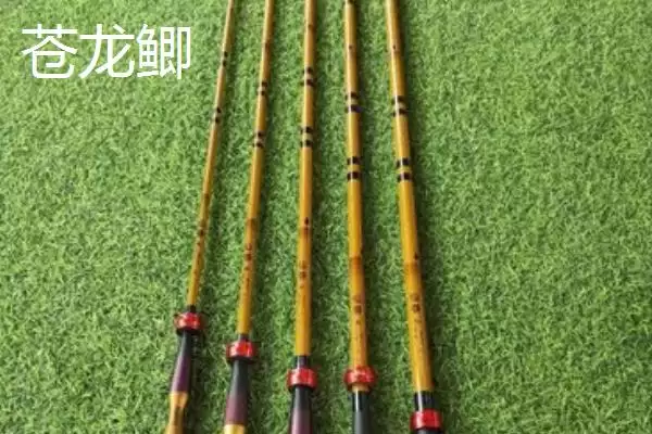 鲫鱼竿十排名不同品牌价不同,鲫鱼竿十大排名，排名和价格关系？插图5
