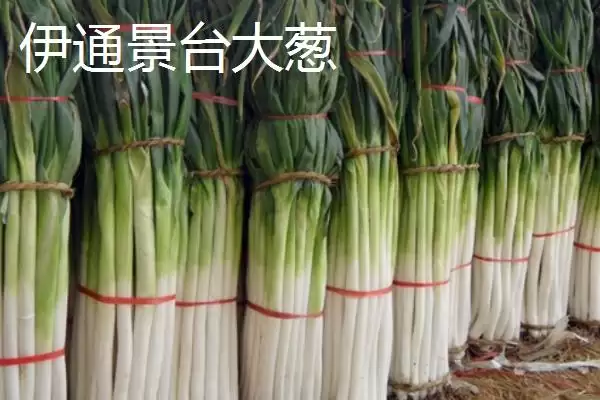 吉林伊通特产伊通大米知名度高,吉林省伊通满族自治县的特产,伊通大米情况?插图4 吉林伊通特产伊通大米知名度高,吉林省伊通满族自治县的特产,伊通大米情况?插图4