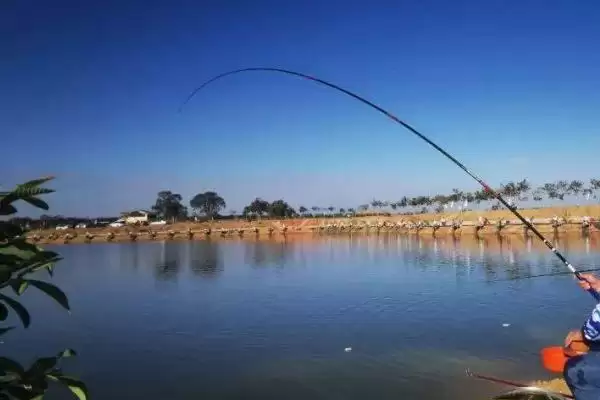 黑漂跑鱼是怎么一回事呢,黑漂跑鱼是因调漂过灵或杂鱼闹窝导致吗插图2