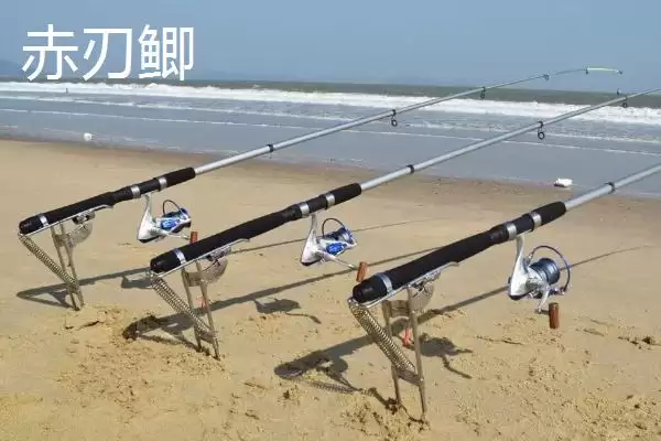 鲫鱼竿十品牌达瓦工艺精湛,鲫鱼竿十大品牌排行,达瓦优势在哪?插图14 鲫鱼竿十品牌达瓦工艺精湛,鲫鱼竿十大品牌排行,达瓦优势在哪?插图14