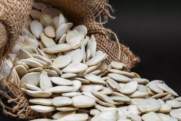 冬瓜籽快速发芽的方法,冬瓜籽如何快速发芽最直接的方法插图1 冬瓜籽快速发芽的方法,冬瓜籽如何快速发芽最直接的方法插图1