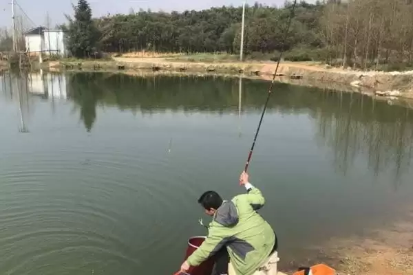 黑坑钓鲟鱼有哪些技巧呢,黑坑钓鲟鱼最好使用跑铅这种技巧吗插图2 黑坑钓鲟鱼有哪些技巧呢,黑坑钓鲟鱼最好使用跑铅这种技巧吗插图2