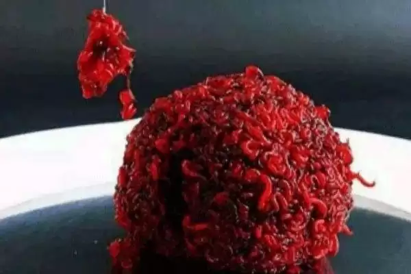 红虫钓鲫鱼适合什么季节呢,红虫是钓鲫鱼常用虫饵适合哪些季节呢插图2 红虫钓鲫鱼适合什么季节呢,红虫是钓鲫鱼常用虫饵适合哪些季节呢插图2