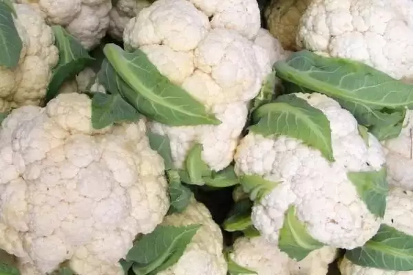 花菜清洗方法牙刷刷后盐水泡好吗,花菜怎样清洗,牙刷流水刷再泡盐水?插图2 花菜清洗方法牙刷刷后盐水泡好吗,花菜怎样清洗,牙刷流水刷再泡盐水?插图2