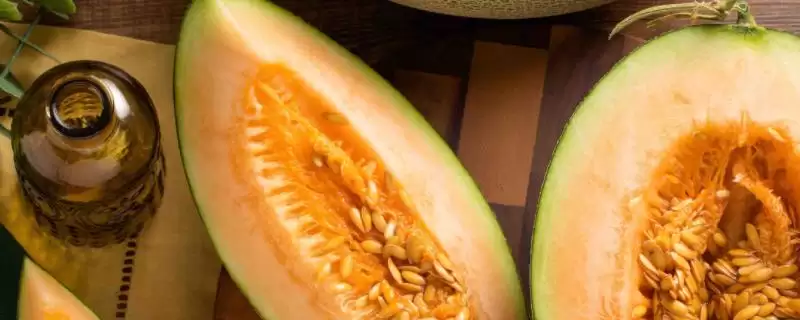 哈密瓜坐果后多久能成熟呢,哈密瓜坐果后一般1-2个月左右成熟吗插图 哈密瓜坐果后多久能成熟呢,哈密瓜坐果后一般1-2个月左右成熟吗插图