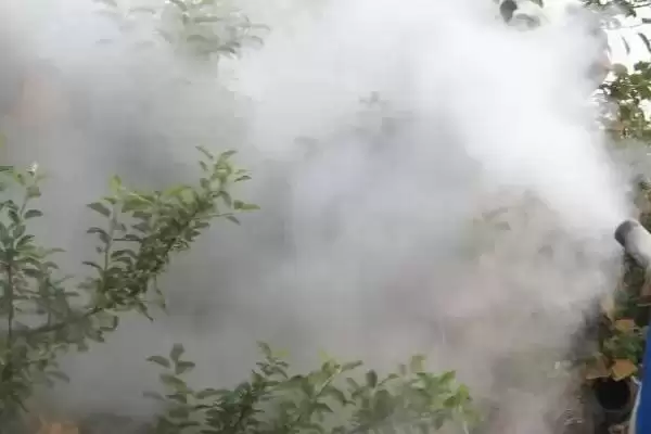 果树春季清园有哪些要点,果树春季清园要正确选药并把握喷药时机吗插图1 果树春季清园有哪些要点,果树春季清园要正确选药并把握喷药时机吗插图1