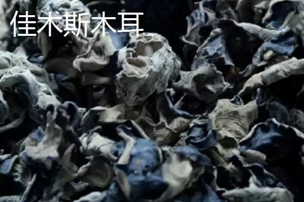 黑龙江佳木斯市的特产有哪些,黑龙江佳木斯特产有力佳风干肠等种类吗插图5 黑龙江佳木斯市的特产有哪些,黑龙江佳木斯特产有力佳风干肠等种类吗插图5