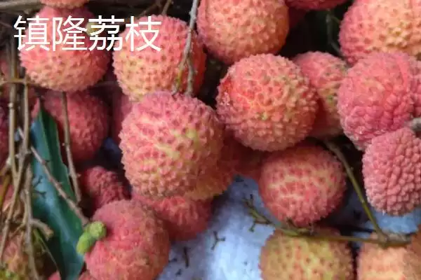 广东省四会市的特产是什么,四会玉器是广东省四会市闻名特产吗插图10 广东省四会市的特产是什么,四会玉器是广东省四会市闻名特产吗插图10
