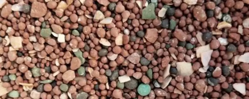 鸽子保健砂配方种类 ,鸽子的保健砂有哪些适用的配方插图 鸽子保健砂配方种类 ,鸽子的保健砂有哪些适用的配方插图