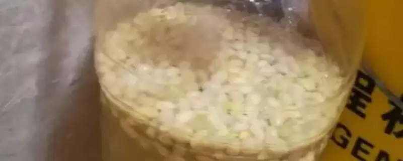 黄豆发酵肥料不是磷钾是有机,黄豆发酵后是不是磷钾肥,那是什么肥?插图 黄豆发酵肥料不是磷钾是有机,黄豆发酵后是不是磷钾肥,那是什么肥?插图