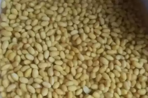 黄豆发酵肥料不是磷钾是有机,黄豆发酵后是不是磷钾肥,那是什么肥?插图3 黄豆发酵肥料不是磷钾是有机,黄豆发酵后是不是磷钾肥,那是什么肥?插图3