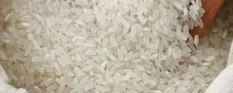 吉林伊通特产伊通大米知名度高,吉林省伊通满族自治县的特产,伊通大米情况?插图 吉林伊通特产伊通大米知名度高,吉林省伊通满族自治县的特产,伊通大米情况?插图