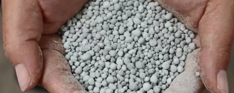 过磷酸钙有几种施用方式呢,过磷酸钙可作基肥等多种方式施用吗插图 过磷酸钙有几种施用方式呢,过磷酸钙可作基肥等多种方式施用吗插图
